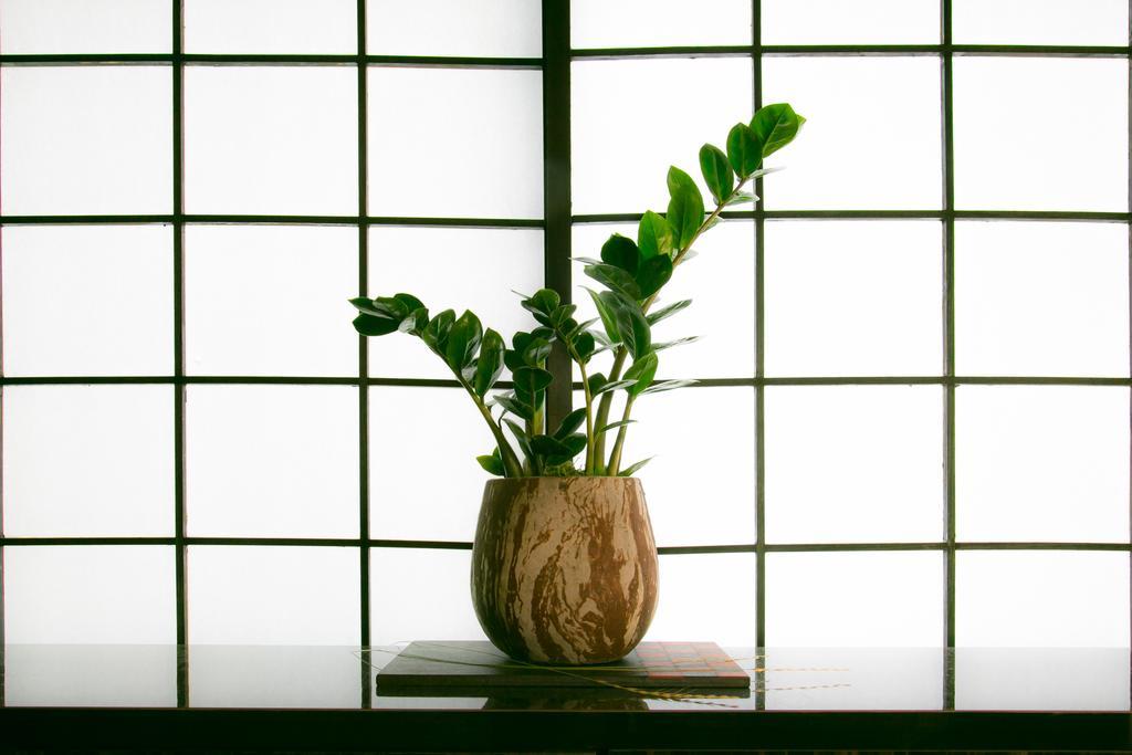 Hosta Nijo Aoi Villa Kyoto Luaran gambar